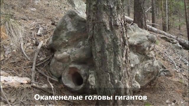 Удивительный мир Ульяновского края. Часть 1. смотреть онлайн