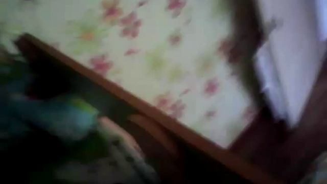Мяу кошка мяу смотреть онлайн