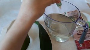 Вырастить орхидею из одного листа!! Это возможно?