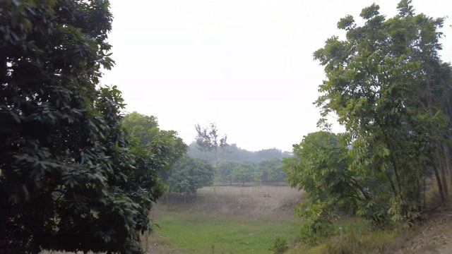 5_14.01.2023 Прогулка Бангладеш, Грин Сити, Руппур. Walk Bangladesh, Green City, Rooppur. смотреть онлайн