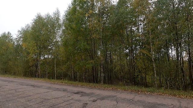 Охота с Добычем 28 09 2022 г Дорожник добегался смотреть онлайн