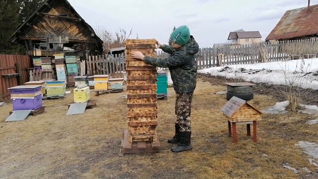 Японский улей. 3 часть. смотреть онлайн