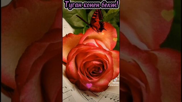 Туган конен белэн! ??? смотреть онлайн