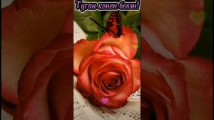 Туган конен белэн! ???