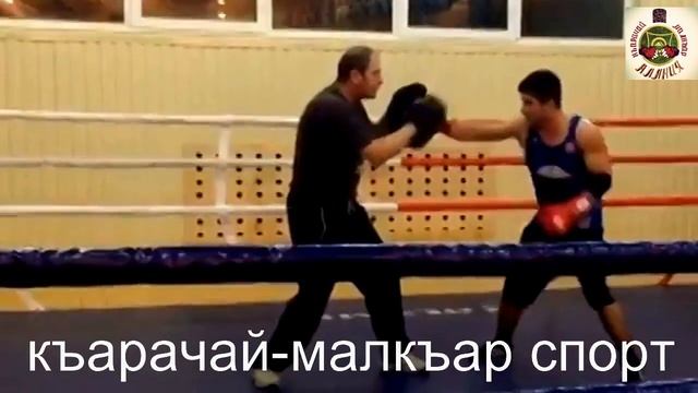 Зафир Чочаев работа по лапам часть 2 смотреть онлайн
