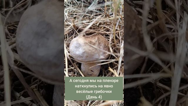 Рисуем выдуманную живность на основе реальных растений и пишем книги