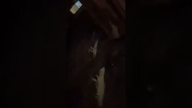 Газовая горелка смотреть онлайн