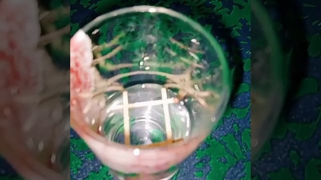 Хочешь узнать своего будущего мужа сделай обряд на суженого с 6 на 7 января #shorts смотреть онлайн