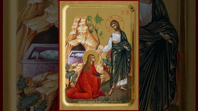 Хор Спасо-Преображенского храма - Благослови душе моя, Господа! смотреть онлайн