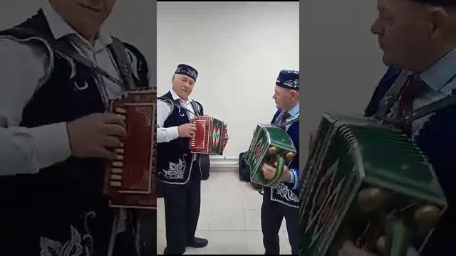 дедушки играют на тальянках и танцуют смотреть онлайн