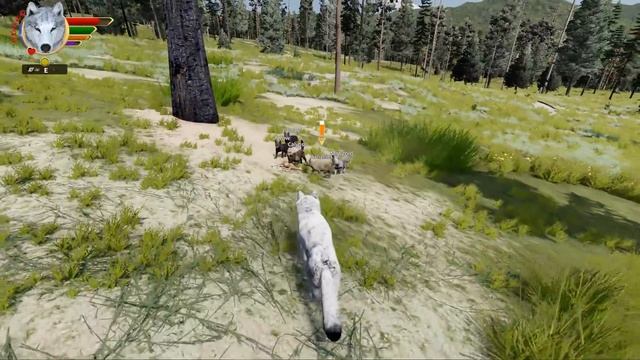 A Hungry BEAR Among the Wolf Pups?! ? WOLF QUEST: WILD MEADOW • #30 смотреть онлайн