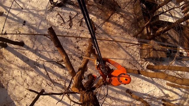 Спилить повисшее дерево по частям №5 #Арбористика [SamArbo] смотреть онлайн