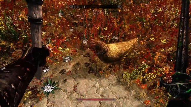 SKYRIM | #183 - Die Aufnahmeprüfung | Let's Play Skyrim [HD+ Deutsch] смотреть онлайн