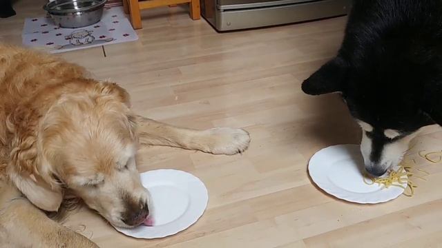 Как быстро съесть спагетти смотреть онлайн