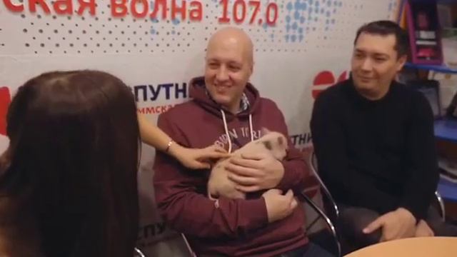 «Хрюмания»: свинка Вита смотрит мультики смотреть онлайн