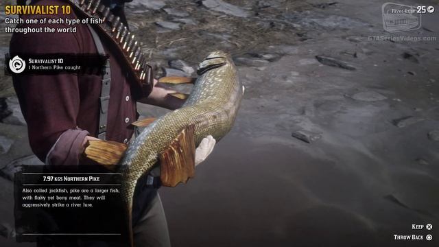 Red Dead Redemption 2 Survivalist Challenge #10 Guide - Catch each type of fish throughout the worl смотреть онлайн