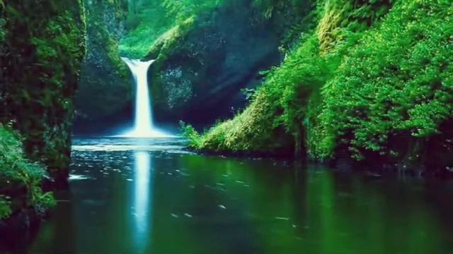 Красивые рисунки смотреть онлайн