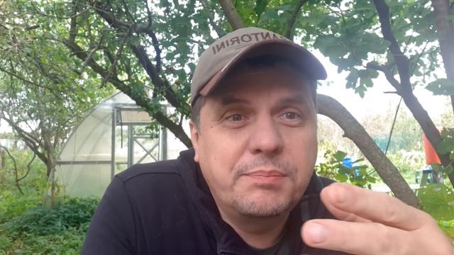 Колдуны в темных балахонах пытаются остановить учеников идущих по пути Знаний. смотреть онлайн