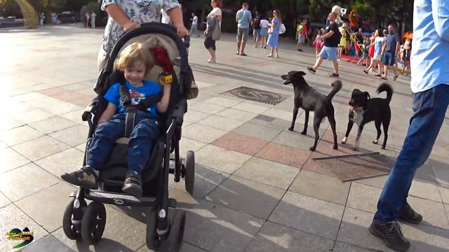 Ялта. Обычный день. Сентябрь 2020г. смотреть онлайн