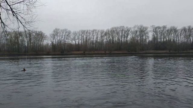 Тренировки на реке МОРЖЕЙ СТОЛИЦЫ 22.12.2019