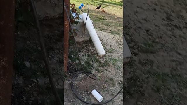 Pitiminutqa temiri.Abune olun ki,daha cox melumatiniz olsun. смотреть онлайн