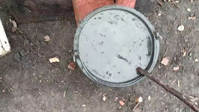 Бесплатные и бесценные удобрения для роз. Ради Форм собственного производства. смотреть онлайн