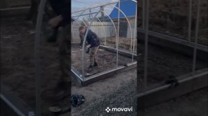 Установка теплицы с чехлом!