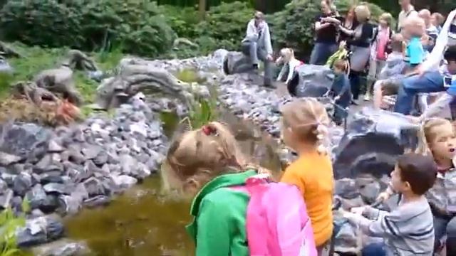 Интерактивное сказочное дерево смотреть онлайн