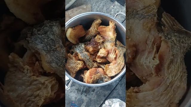 рыба сазане смотреть онлайн