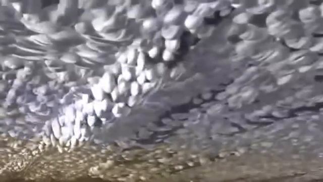 Как работают присадки Супротек. Технология Suprotec.