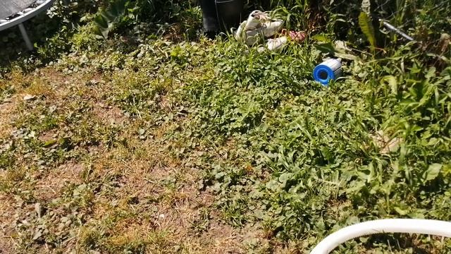 Бассейн Summer Escapes спустя год смотреть онлайн