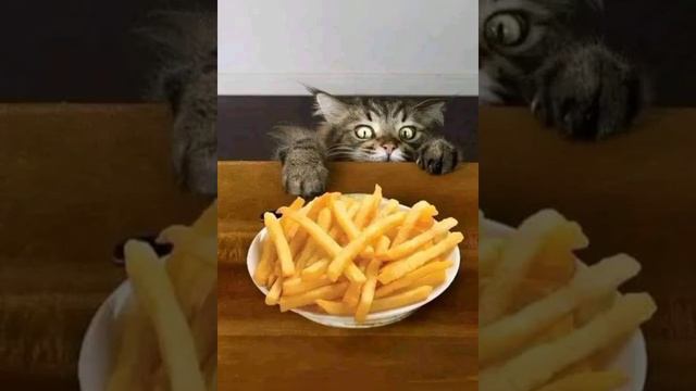 КУДА ВАМ БЕЗ НАС?!... смотреть онлайн