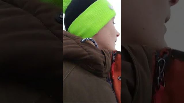 Гуляю З Собакою смотреть онлайн