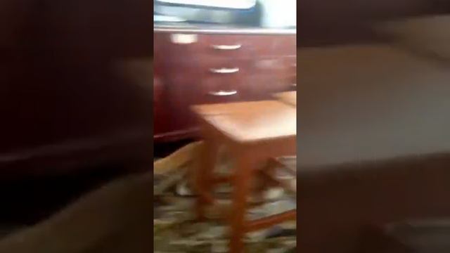 Не тролль кота!😂👍🏽 смотреть онлайн