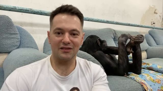 Дан Запашный и шимпанзе Боня | Прямой эфир 14.04.2021 смотреть онлайн