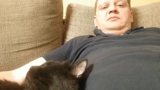 Никсон!На рыбалку пойдешь?или о чем думают коты смотреть онлайн