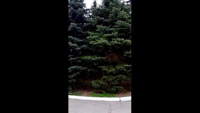 Новое по цене Секонда! Дешевле, чем Aliexpress!!! Одежда Time of Style смотреть онлайн