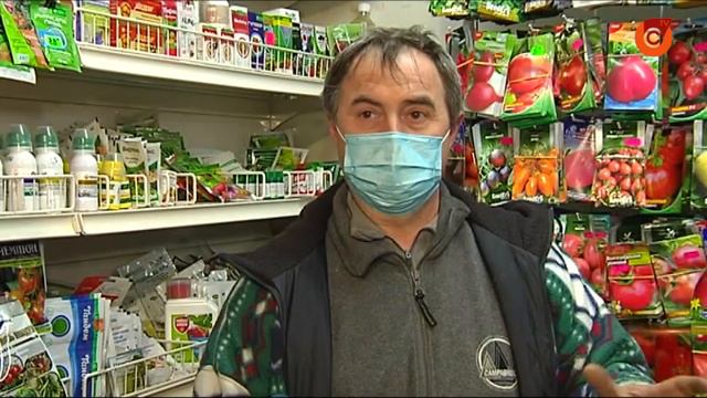 Что выгоднее: покупать рассаду, или выращивать из семян? смотреть онлайн