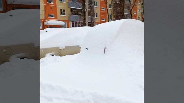 15.12.23 #Липецк накрыли небывалые снегопады!?Ни пройти, ни проехать! #зима #снег #сугробы #shorts смотреть онлайн