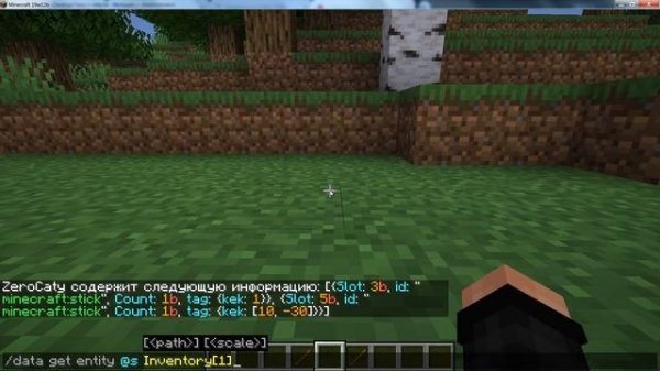Команда data modify в Майнкрафт | entitydata 1.13 - 1.14