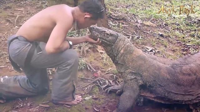 10 ДОМАШНИХ ЖИВОТНЫХ, которые СЪЕЛИ СВОИХ ХОЗЯЕВ! смотреть онлайн