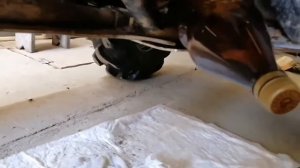 замена масла в КПП Стелс Гепард