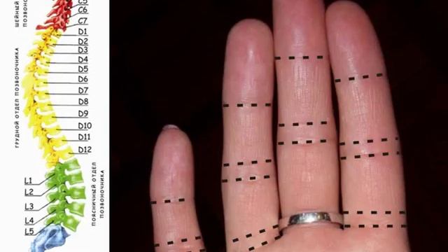 Позвоночник смотреть онлайн