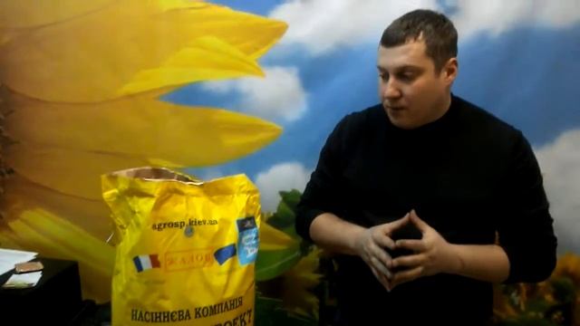 Обзор семян подсолнечника Жалон, засухоустойчивый, стойкий к фомопсису, волчку раси А-Е смотреть онлайн