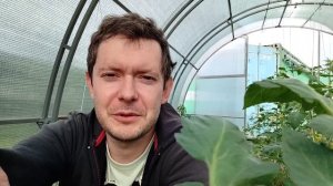 Ликбез часть 12 (2023). Обзор насосов для полива из бочки. Нормируем кисти. Арбузы-гиганты.