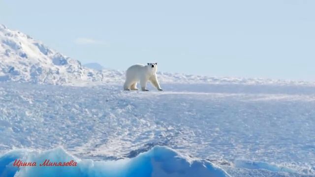 Северный Ледовитый Океан смотреть онлайн