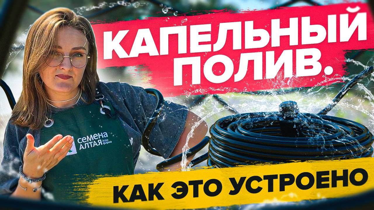 Зачем нужен КАПЕЛЬНЫЙ ПОЛИВ? Как устроен капельный полив смотреть онлайн