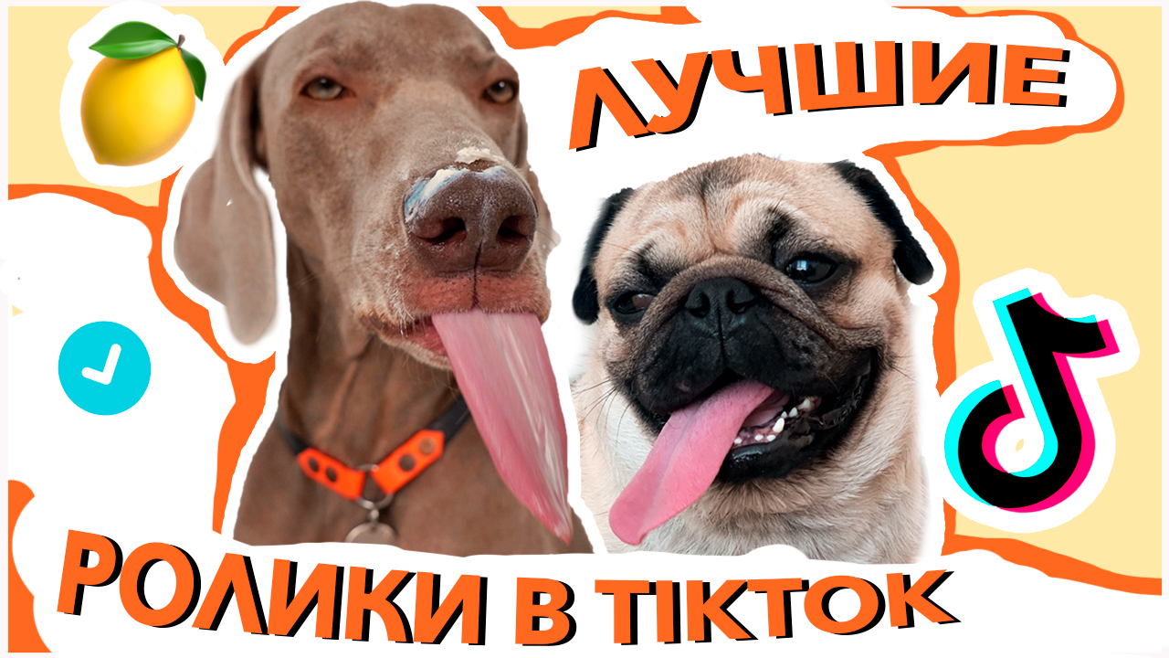 САМЫЕ ПОПУЛЯРНЫЕ ВИДЕО ОСКАРА И ДЖОНИ В ТИКТОК - ЧАСТЬ 1 смотреть онлайн