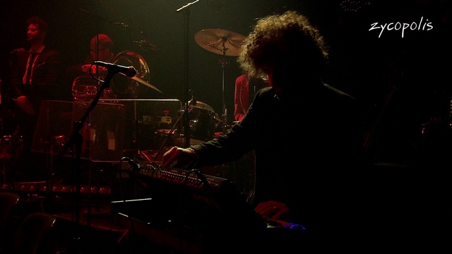 Camille - Stupid Dog - Autour de Nina - LIVE HD смотреть онлайн