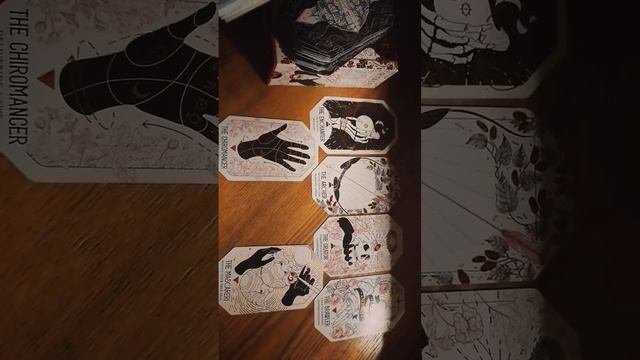 What is this person's Archetype? ??| Citadel Oracle? смотреть онлайн